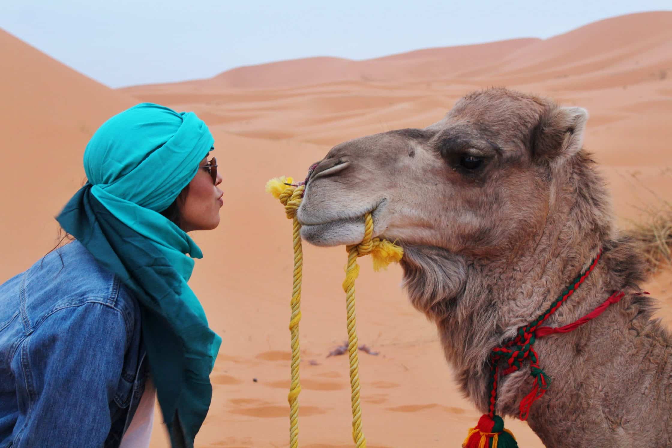 pañuelo.desierto Sahara.Marruecos.camello